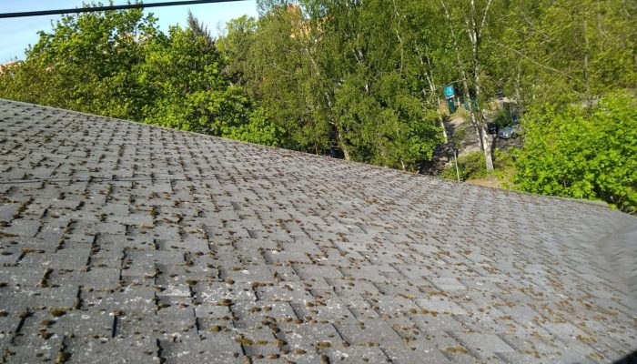 Zoomed out sūnas uz jumta