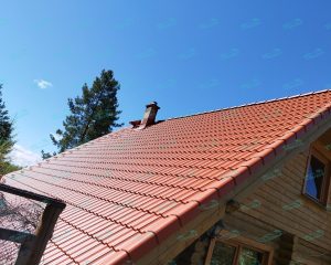 IMG_20220516_114737